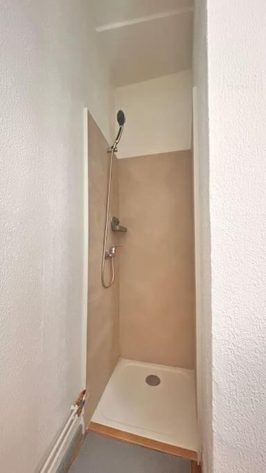 Le Cocon Apartment Montauban Luaran gambar