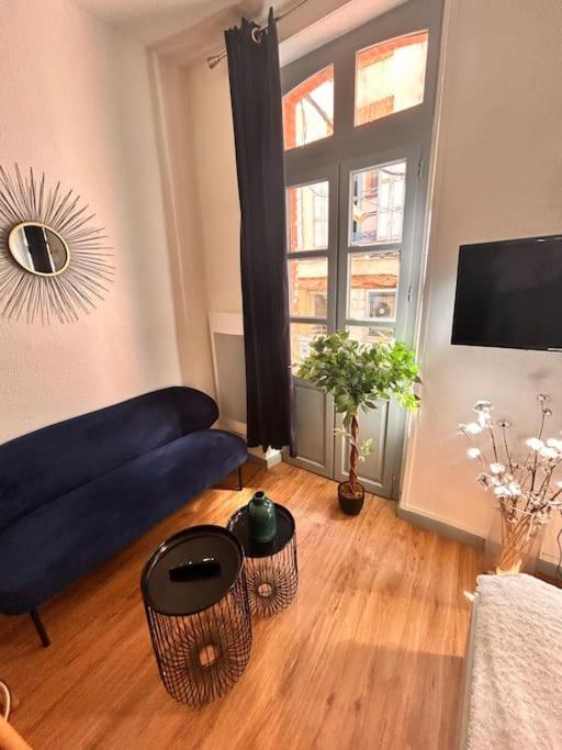 Le Cocon Apartment Montauban Luaran gambar